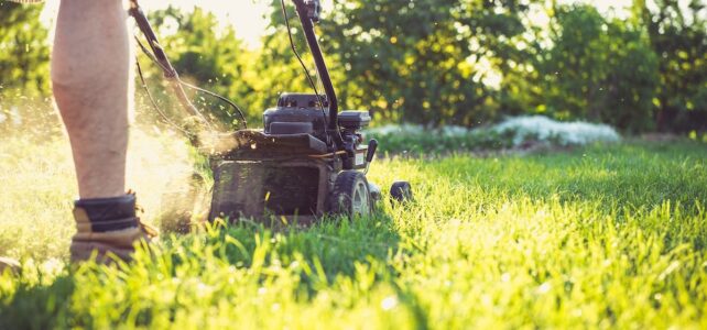 Quelles sont les règles concernant la tonte de pelouse pendant les jours fériés ?